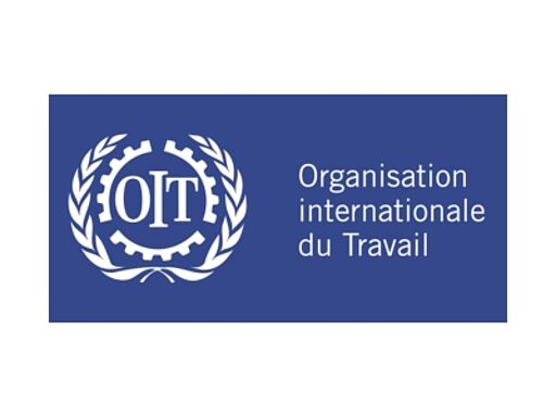 Organisation Internationale du Travail (OIT)