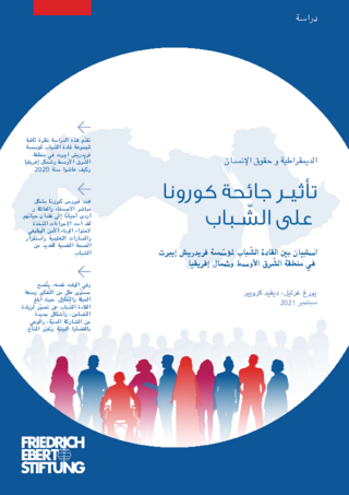 [The impact of the pandemic on young people]